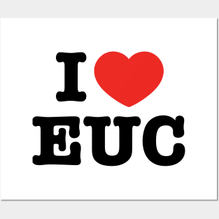 I Love EUC Electric Unicycle Cool Posters and Art